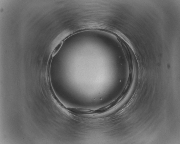 X0000071361293200606261307