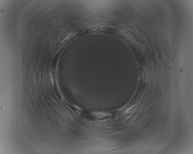 X0000071361298200606261306