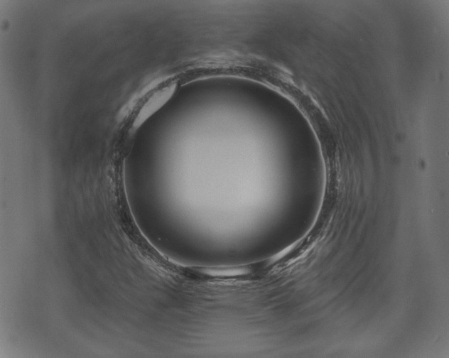 X0000071361304200606261306