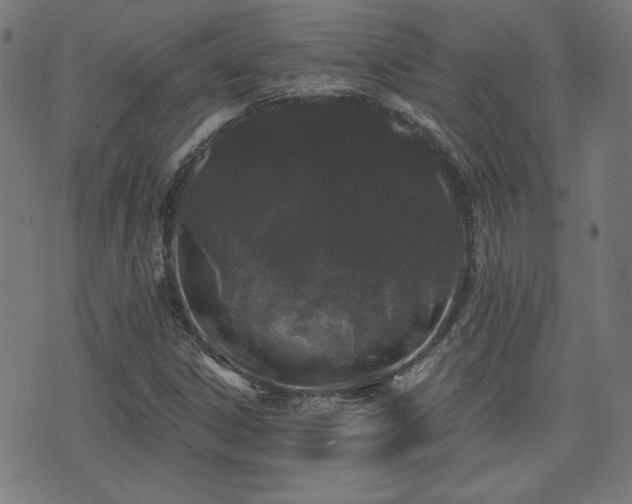 X0000071361306200606261306