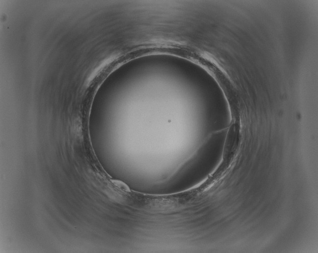 X0000071361307200606261307