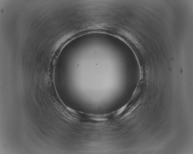 X0000071361308200606261307
