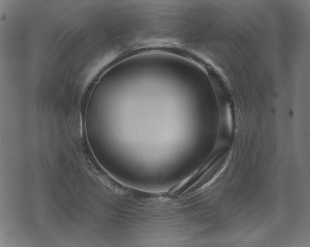 X0000071361317200606261307
