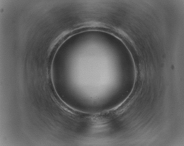 X0000071361318200606261307