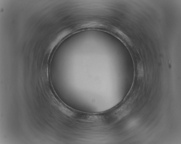 X0000071361322200606261307