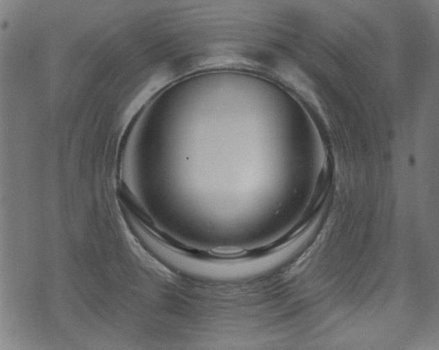 X0000071361330200606261307