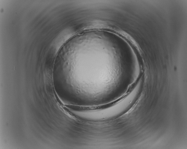 X0000071361337200606261307