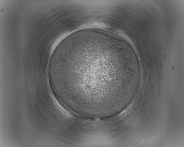 X0000071361344200606261307
