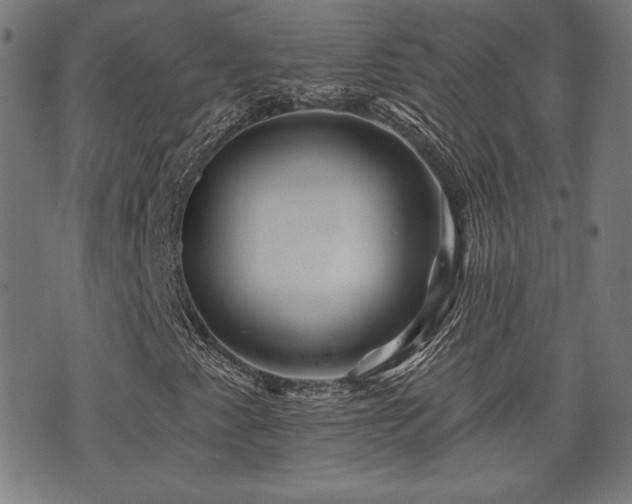 X0000071361345200606261306