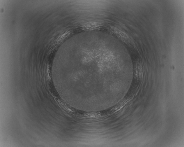 X0000071361346200606261306