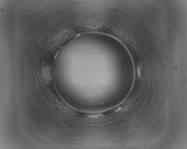 X0000071361347200606261306