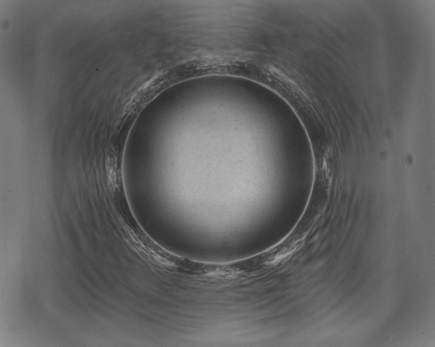 X0000071361348200606261306