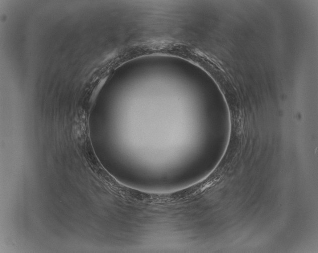 X0000071361349200606261306