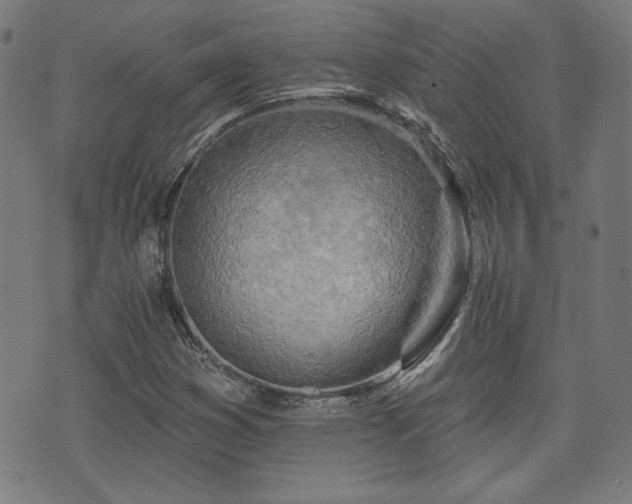 X0000071361353200606261306