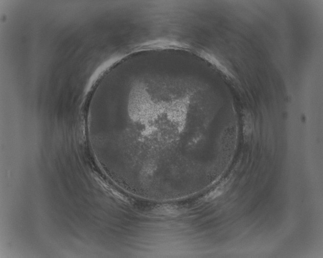 X0000071361358200606261306