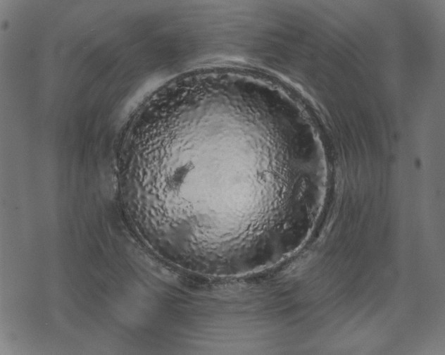 X0000071361363200606261306