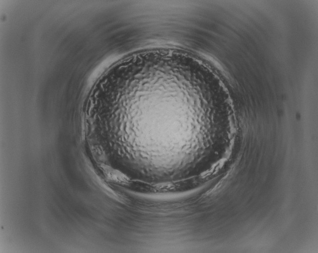 X0000071361371200606261306