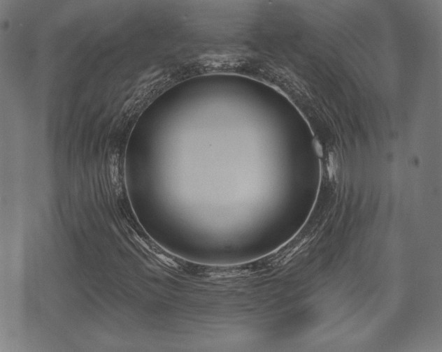X0000071361396200606261305