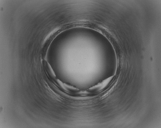X0000071361402200606261305