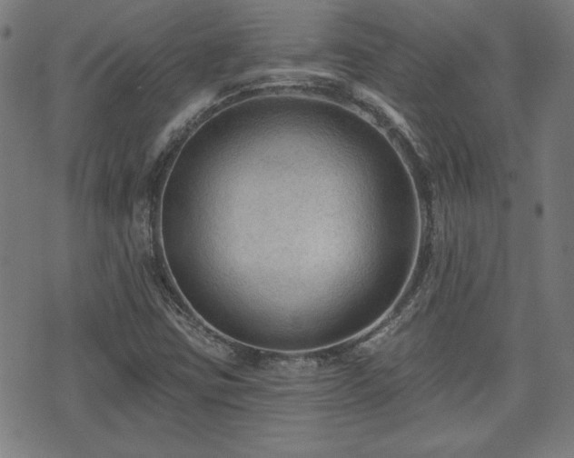 X0000071361403200606261305