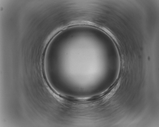 X0000071361438200606261306