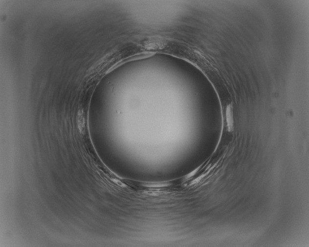 X0000071361443200606261305