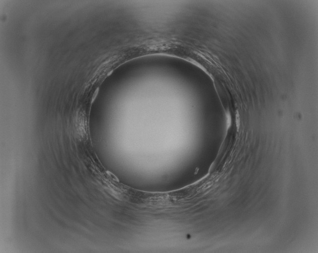 X0000071361444200606261305