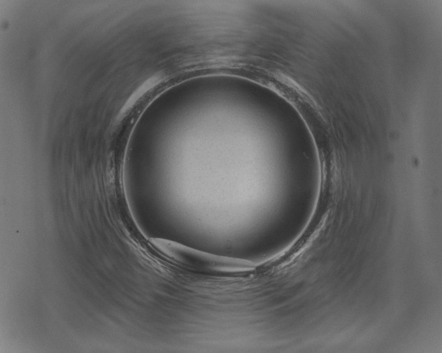 X0000071361450200606261305