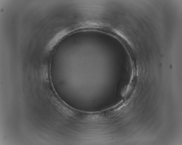 X0000071361455200606261305