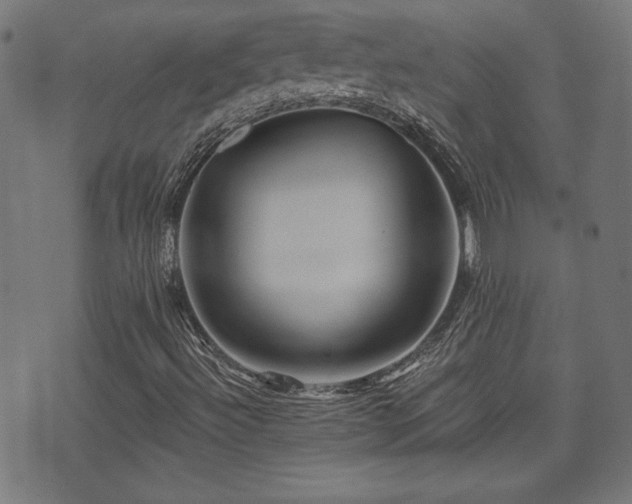 X0000071361492200606261303