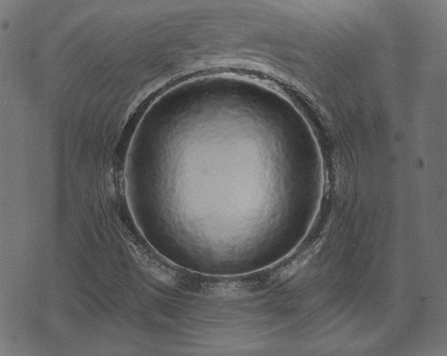 X0000071361497200606261303