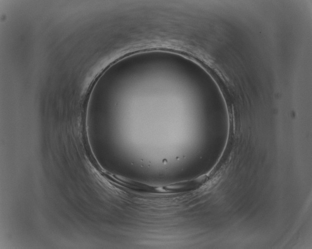 X0000071361500200606261303