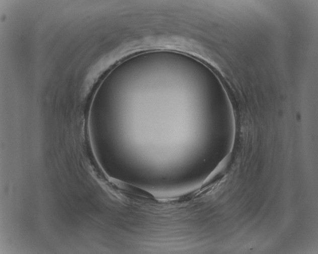 X0000071361507200606261304