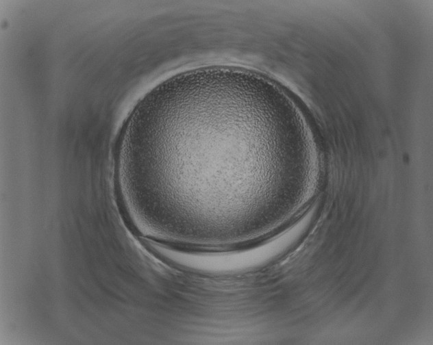 X0000071361508200606261304
