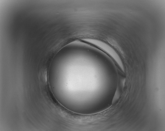 X0000071360021200606301730
