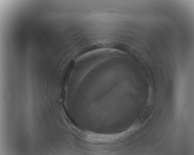 X0000071360048200606301729
