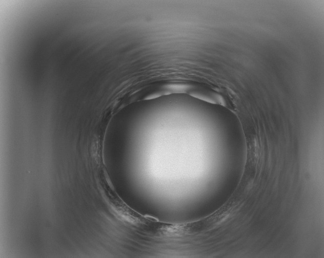 X0000071360092200606301729