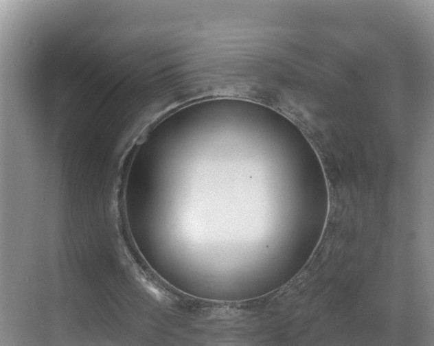 X0000071360098200606301728