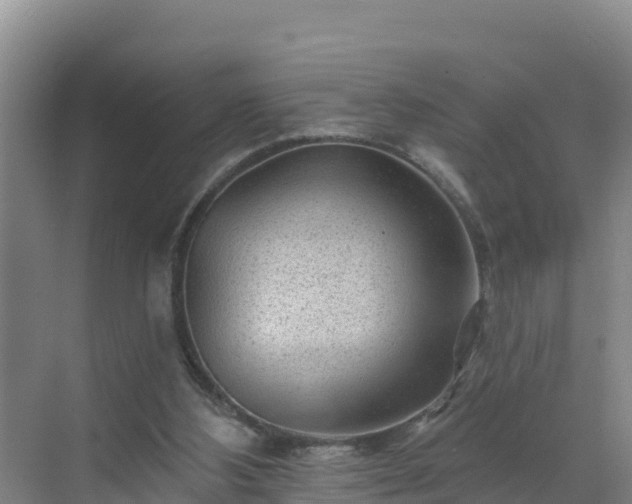 X0000071360108200606301728