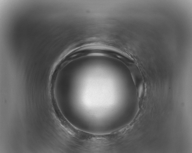 X0000071360150200606301727