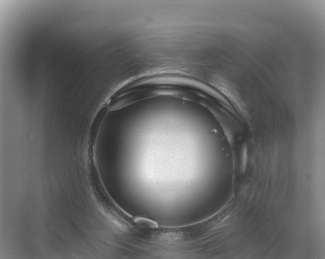 X0000071360156200606301727