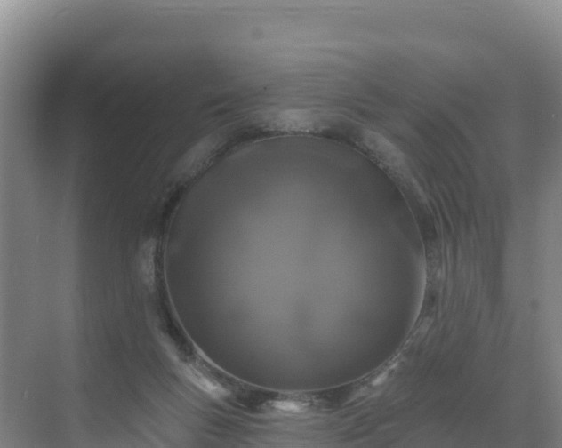 X0000071360167200606301727