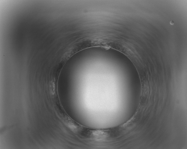 X0000071360183200606301728
