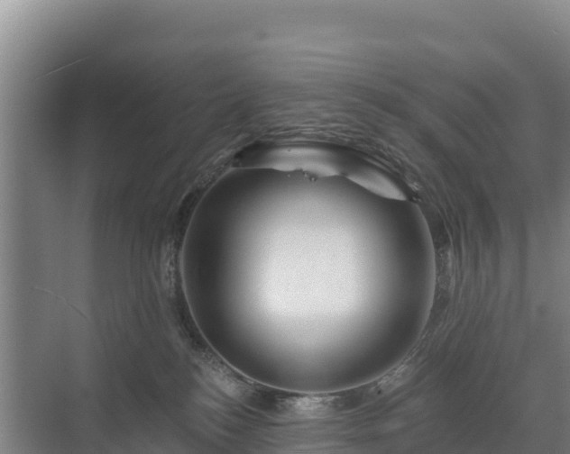 X0000071360184200606301728