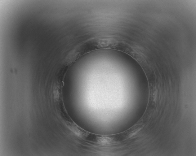 X0000071360226200606301726