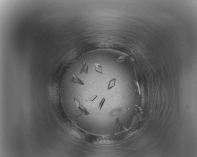 X0000071360228200606301726