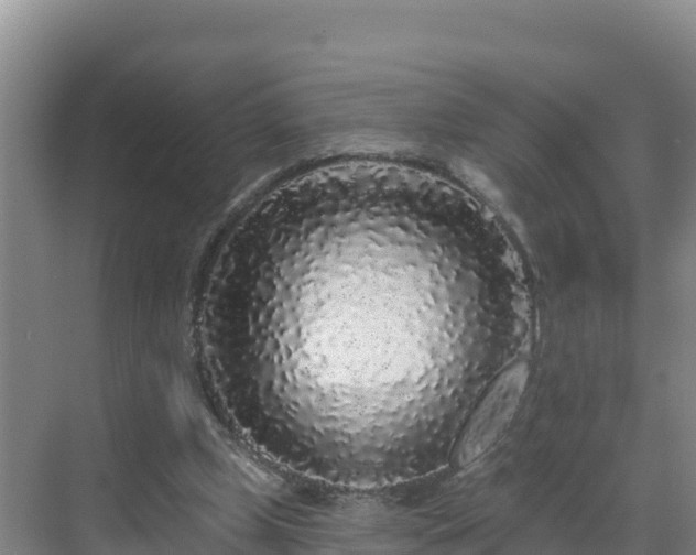 X0000071360249200606301725