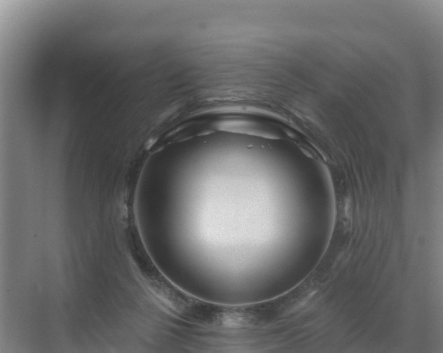 X0000071360264200606301726