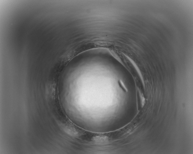 X0000071360271200606301726