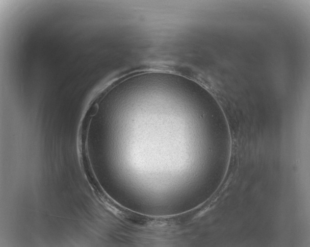 X0000071360294200606301725